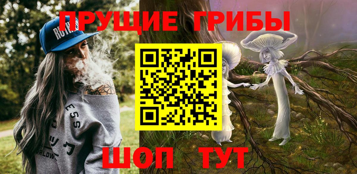 Псилоцибиновые грибы GOLDEN TEACHER  наркошоп  Галлюциногенные грибы Magic Shrooms  Махачкала  Вход с VPN 